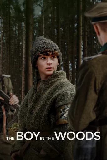 The Boy in the Woods poster