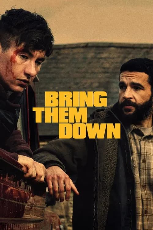 Bring Them Down poster